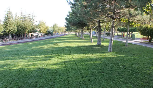 Wi-Fi Ahlatlıbel Atatürk Parkı