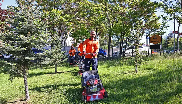 Çankaya Parklarına Kapsamlı Bakım haber görseli