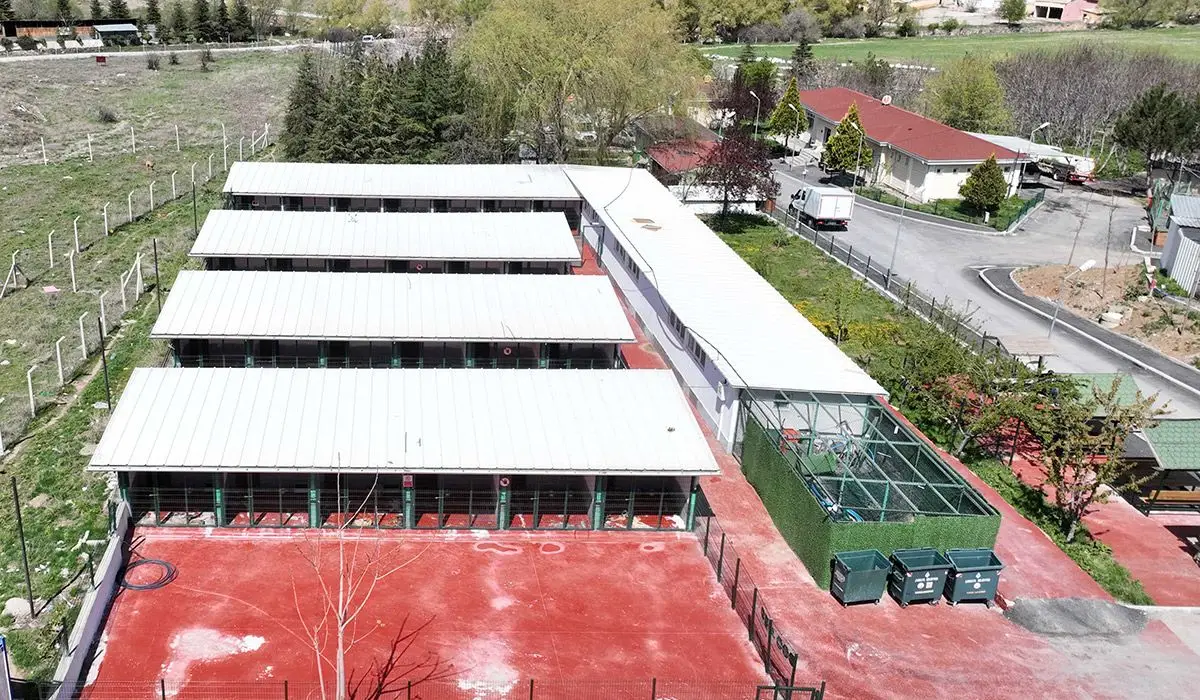 Çankaya Belediyesi Sahipsiz Hayvan Barınağı