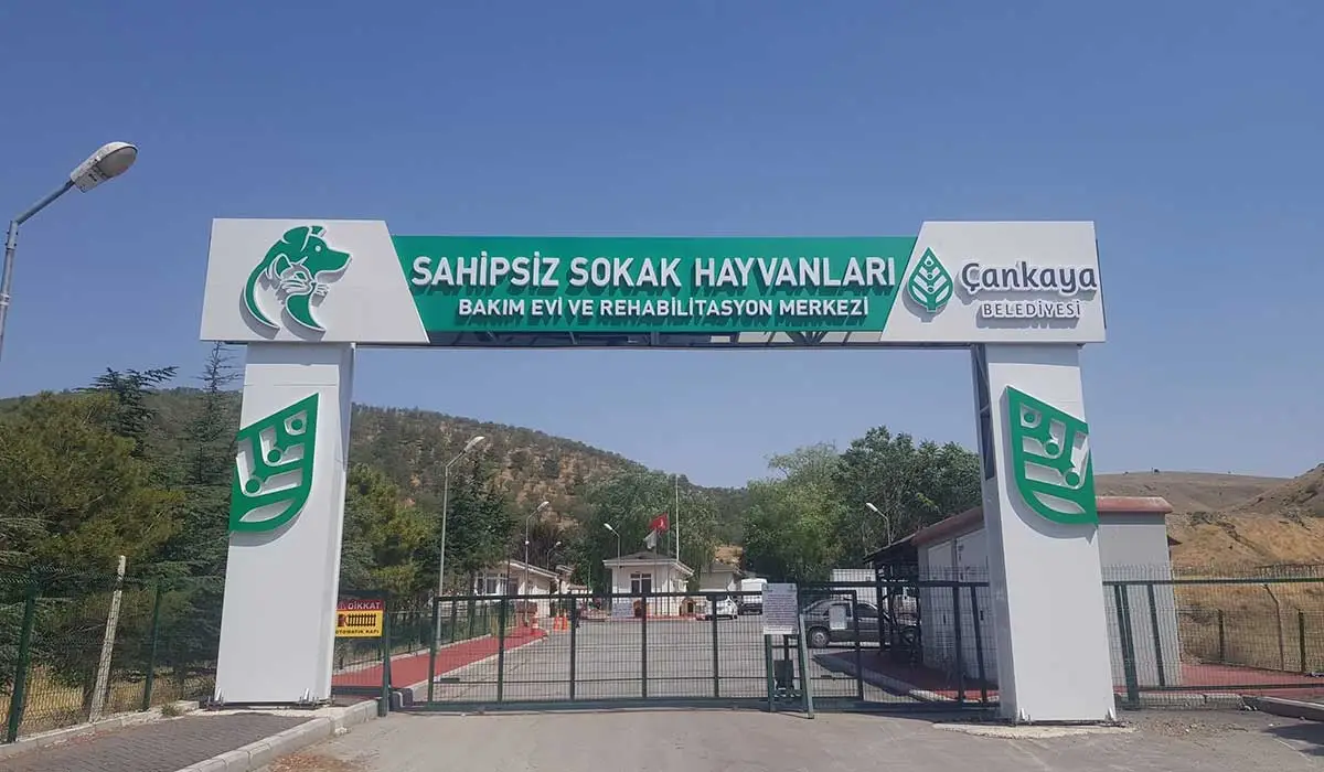 Çankaya Belediyesi Sahipsiz Hayvan Barınağı