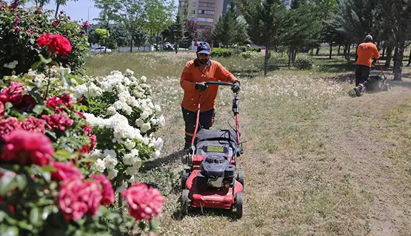 Çankaya Parklarında Çimler Biçiliyor, Otlar Temizleniyor haber görseli