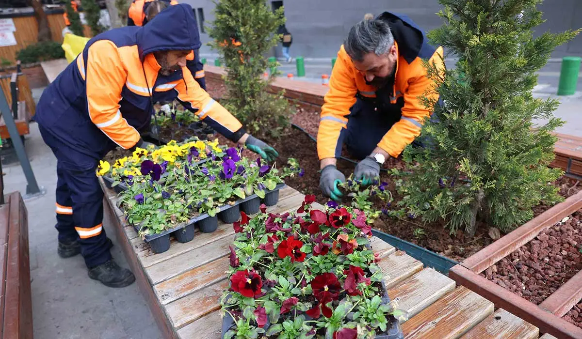 Çansera'dan Kent Merkezine Kış Renkleri haber görseli