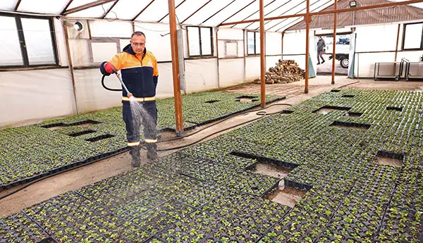 Çankaya Parkları Çiçek Açıyor haber görseli