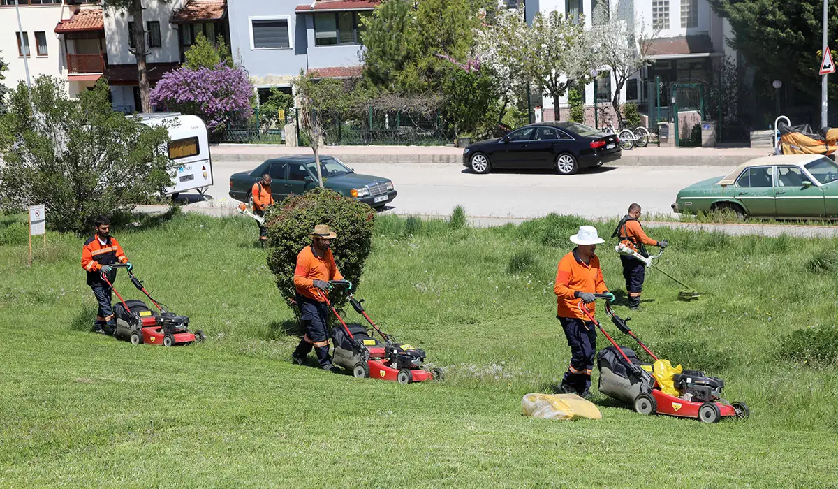 Çankaya Parklarında Çim Biçme Çalışması haber görseli
