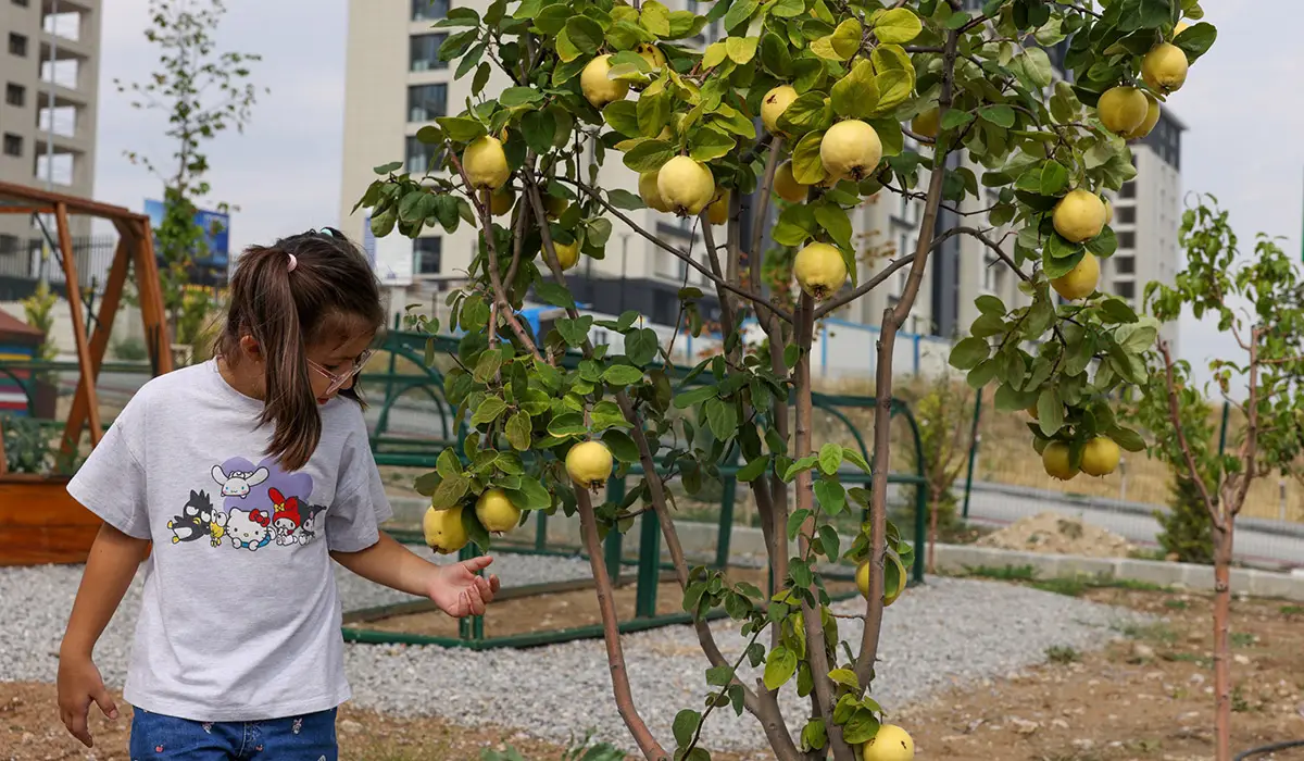 Şeker Portakalı Gündüz Bakımevi (Ekolojik Kreş) görseli