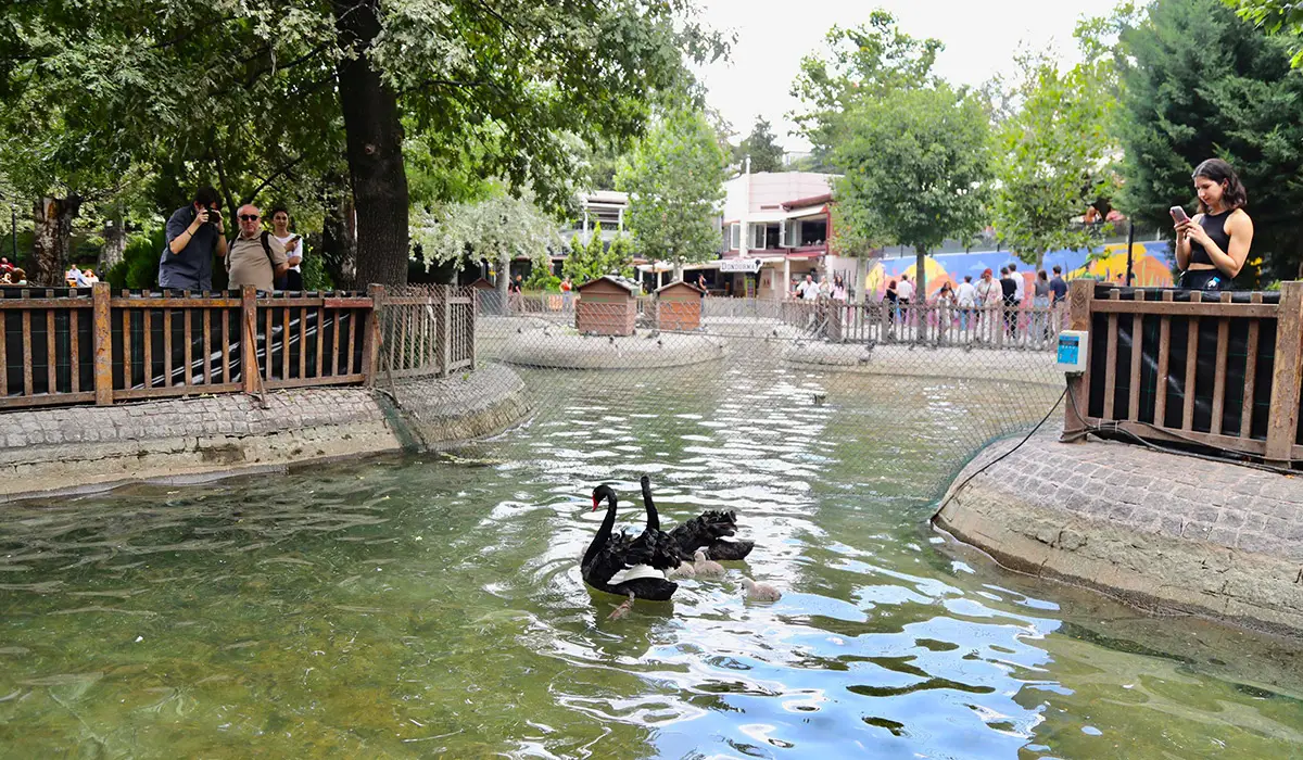 Kuğulu Park