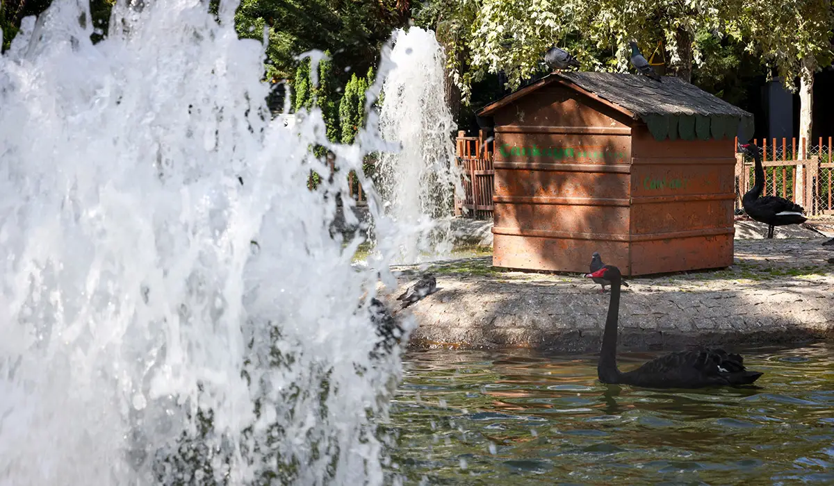 Kuğulu Park