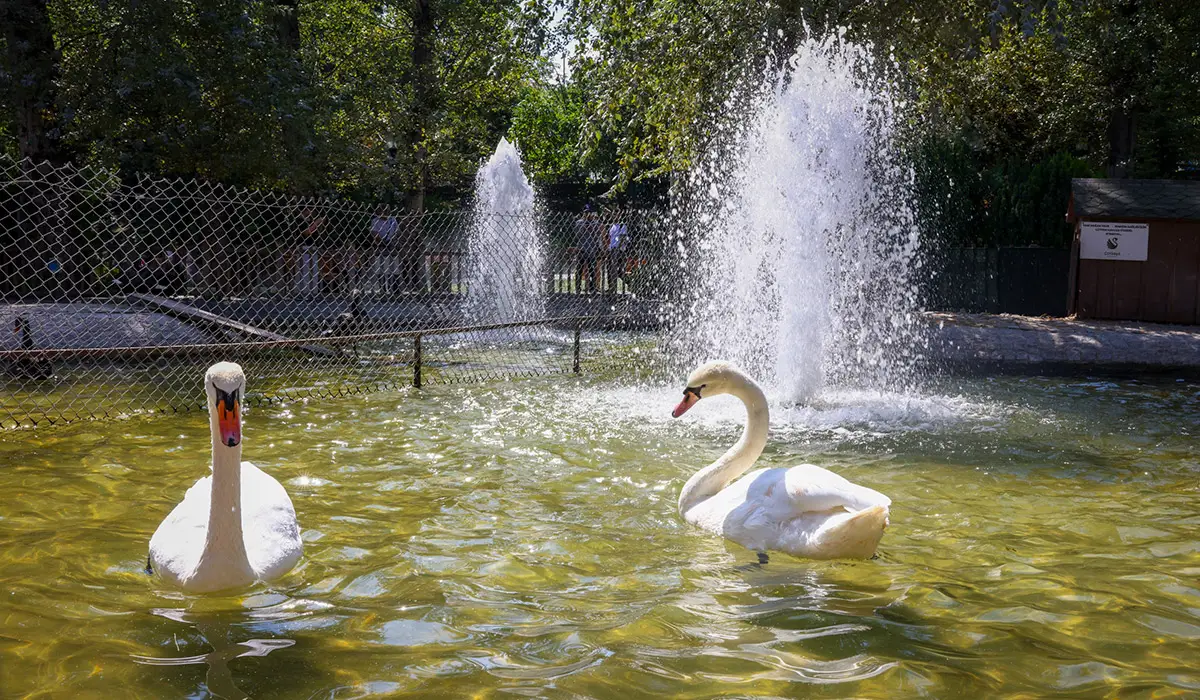 Kuğulu Park
