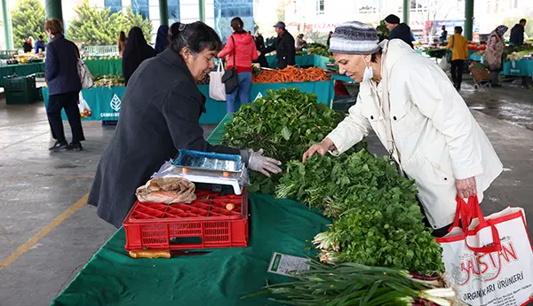 Organik Pazar Alanında Devir Talebi hizmet görseli