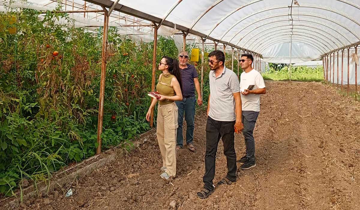 Çankaya Belediyesi'nden Organik Pazar Denetimleri haber görseli