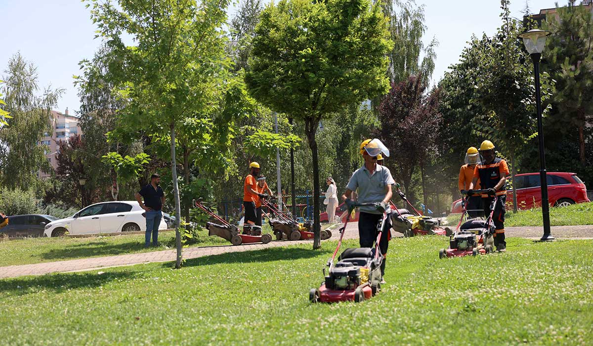 Çankaya Parklarında Çim Biçme Ve Ot Temizleme Mesaisi haber görseli