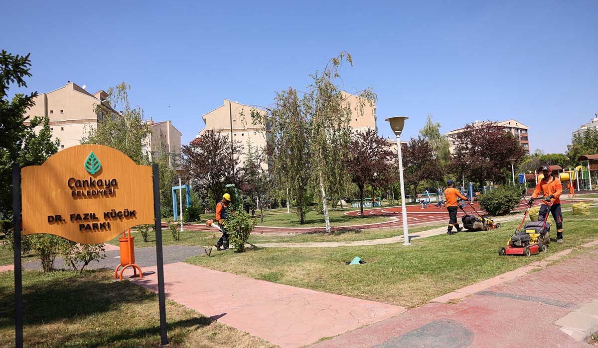park2_1754890804_JrgXhGGf.jpg