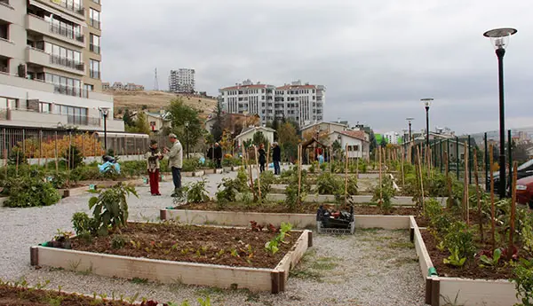 Mutlukent Kent Bostanı hizmet görseli