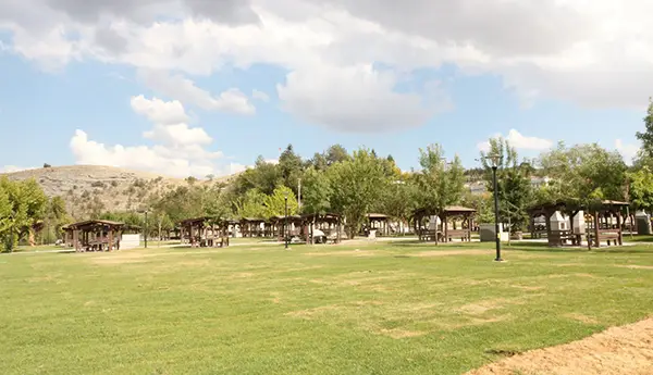 Alacaatlı Vatan Parkı Ve Piknik Alanı