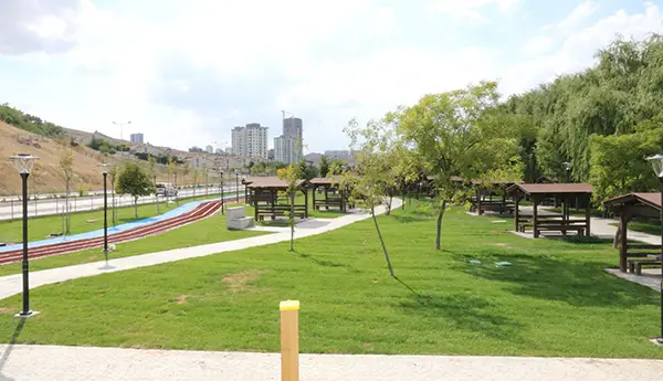 Alacaatlı Vatan Parkı Ve Piknik Alanı